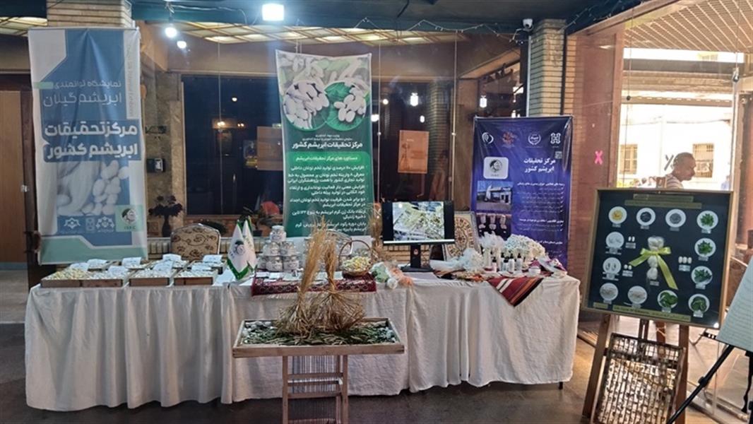 برگزاری نمایشگاه توانمندی‌های ابریشم گیلان در رشت