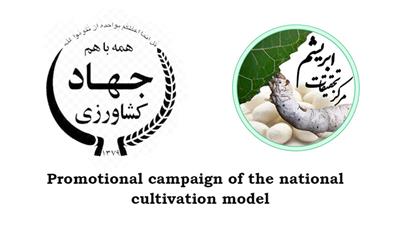 Promotional campaign of the national cultivation model