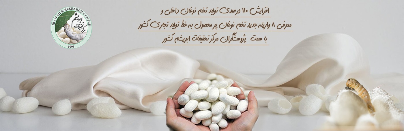 هدر سایت.jpg